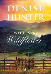 Wodospad Wildflower - Denise Hunter - ebook