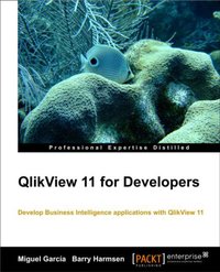 QlikView 11 for Developers - Barry Harmsen - ebook