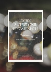 Krótki przewodnik po kamieniach - zdrowie - Paulina Grzywacz - ebook