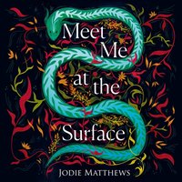Meet Me at the Surface - Jodie Matthews - audiobook