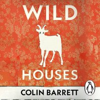 Wild Houses - Colin Barrett - audiobook