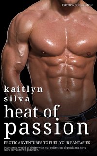 Heat Of Passion - Kaitlyn Silva - ebook