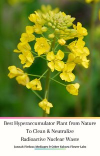 Best Hyperaccumulator Plant from Nature To Clean & Neutralize Radioactive Nuclear Waste - Jannah Firdaus Mediapro - ebook