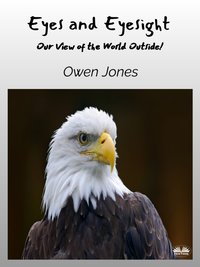 Eyes And Eyesight - Owen Jones - ebook