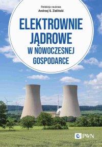 Elektrownie jądrowe w nowoczesnej gospodarce - Andrzej Zieliński - ebook