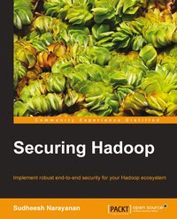 Securing Hadoop - Sudheesh Narayan - ebook