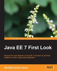 Java EE 7 First Look - Armel Fabrice NDJOBO - ebook