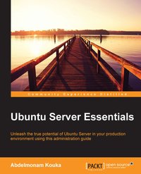 Ubuntu Server Essentials - Abdelmonam Kouka - ebook