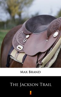 The Jackson Trail - Max Brand - ebook