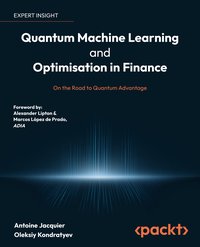 Quantum Machine Learning and Optimisation in Finance - Antoine Jacquier - ebook