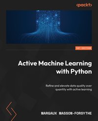 Active Machine Learning with Python - Margaux Masson-Forsythe - ebook