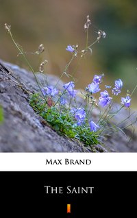 The Saint - Max Brand - ebook