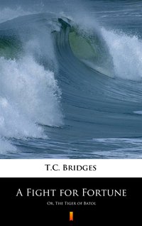 A Fight for Fortune - T.C. Bridges - ebook