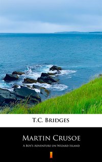 Martin Crusoe - T.C. Bridges - ebook