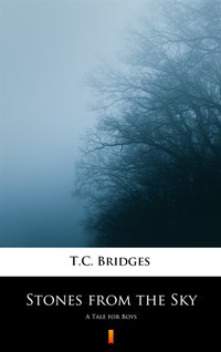 Stones from the Sky - T.C. Bridges - ebook