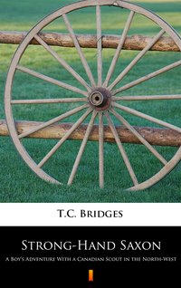 Strong-Hand Saxon - T.C. Bridges - ebook