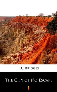 The City of No Escape - T.C. Bridges - ebook