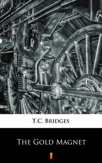 The Gold Magnet - T.C. Bridges - ebook