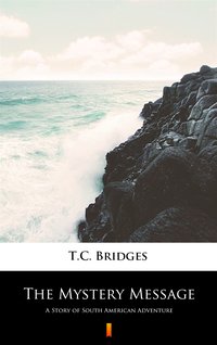 The Mystery Message - T.C. Bridges - ebook