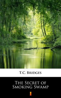 The Secret of Smoking Swamp - T.C. Bridges - ebook