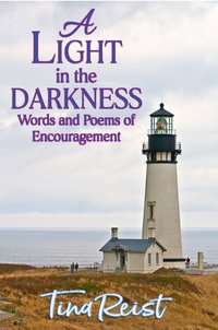 A Light in the Darkness - Tina Reist - ebook