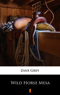 Wild Horse Mesa - Zane Grey - ebook