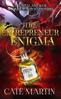 The Entrepreneur Enigma - Cate Martin - ebook