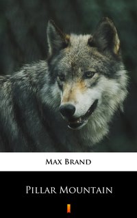Pillar Mountain - Max Brand - ebook