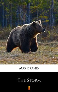 The Storm - Max Brand - ebook