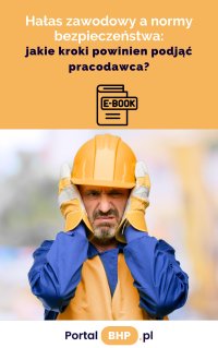 Hałas zawodowy a normy bezpieczeństwa: jakie kroki powinien podjąć pracodawca - Dariusz Borowiecki - ebook