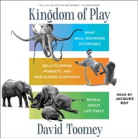 Kingdom of Play - David Toomey - audiobook