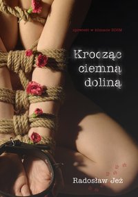 Krocząc ciemną doliną - Radosław Jeż - ebook