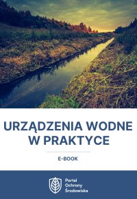 Urządzenia wodne w praktyce - Tomasz Kaler - ebook