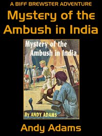 Mystery of the Ambush in India - Andy Adams - ebook