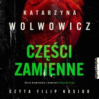 Części zamienne - Katarzyna Wolwowicz - audiobook