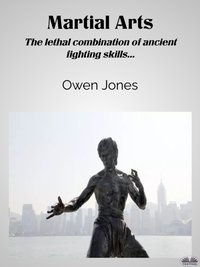 Martial Arts - Owen Jones - ebook