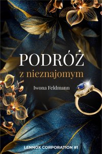 Podróż z nieznajomym - Iwona Feldmann - ebook