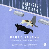 Idealny czas na smuteczek - Nanae Aoyama - audiobook