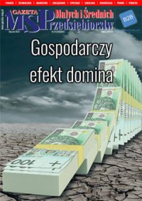 Gazeta Małych i Średnich Przedsiębiorstw - Opracowanie  zbiorowe - eprasa