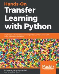 Hands-On Transfer Learning with Python - Raghav Bali - ebook