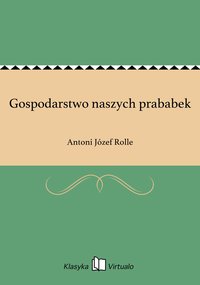 Gospodarstwo naszych prababek - Antoni Józef Rolle - ebook