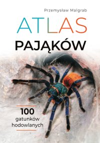 Atlas pająków - Przemysław Malgrab - ebook