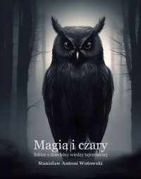 Magia i czary. Szkice z dziedziny wiedzy tajemniczej - Stanisław Antoni Wotowski - ebook