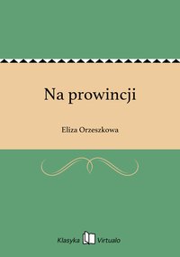 Na prowincji - Eliza Orzeszkowa - ebook