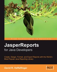 JasperReports for Java Developers - David R. Heffelfinger - ebook