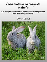Cómo Cuidar A Un Conejo De Mascota - Owen Jones - ebook
