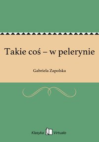 Takie coś – w pelerynie - Gabriela Zapolska - ebook