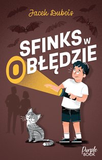 Sfinks w (o)błędzie - Jacek Dubois - ebook