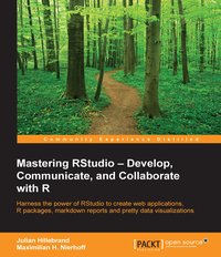 Mastering RStudio - Julian Hillebrand - ebook