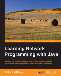 Learning Network Programming with Java - Richard M Reese - ebook